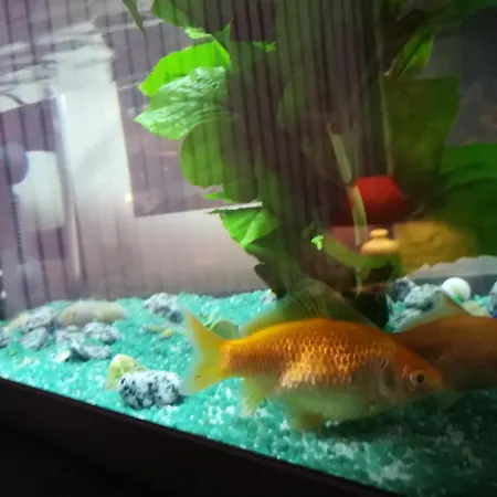 Hotel Du Globe 18 2*